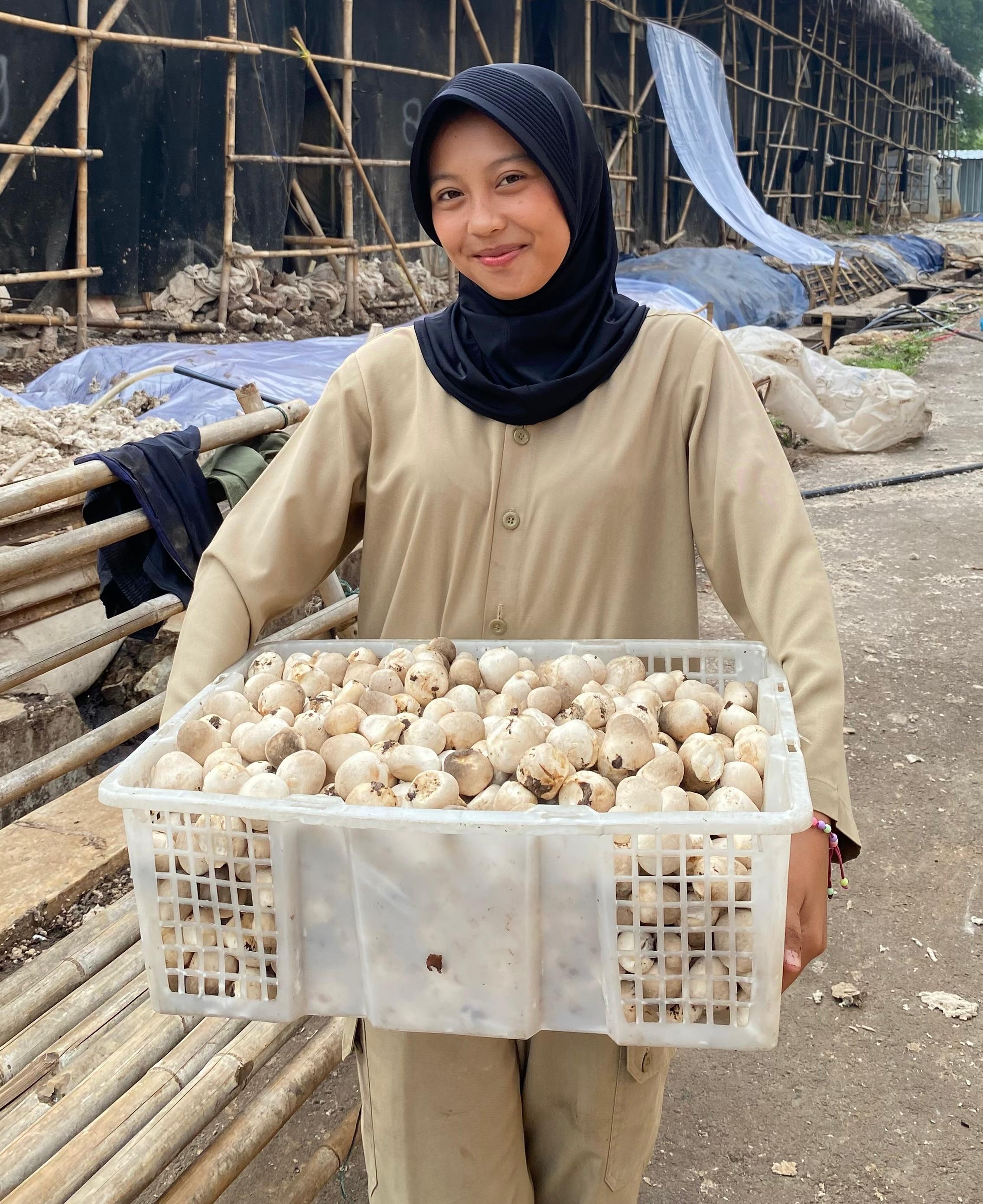 Tim budidaya jamur